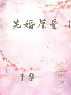 先婚厚爱 小说