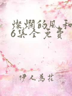 灿烂的风和海36集全免费