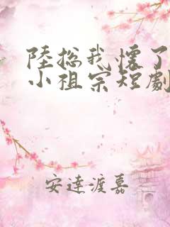 陆总我怀了你的小祖宗短剧免费全集