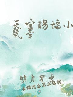 天官赐福小说有几章