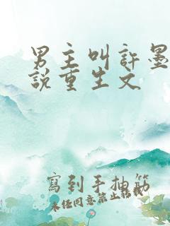 男主叫许墨的小说重生文