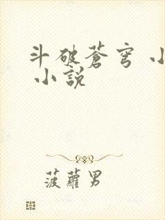 斗破苍穹 小说 小说