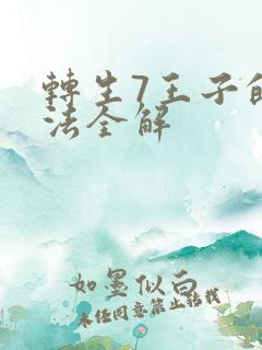 转生7王子的魔法全解