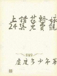 上错花轿嫁王爷24集免费观看