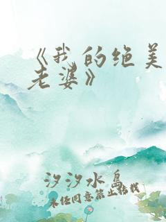 《我的绝美总裁老婆》