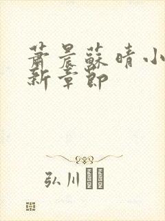 萧晨苏晴小说最新章节