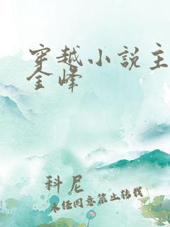 穿越小说主角叫金峰