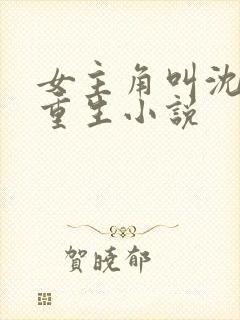 女主角叫沈晚的重生小说