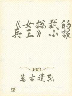 《女总裁的贴身兵王》小说