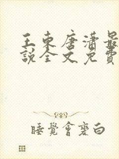 王东唐潇最新小说全文免费阅读