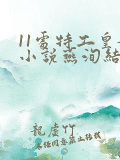 11处特工皇妃小说燕洵结局