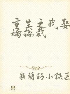 重生之我娶了病娇总裁