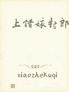 上错嫁对郎花轿