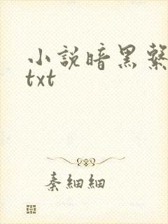 小说暗黑系暖婚txt