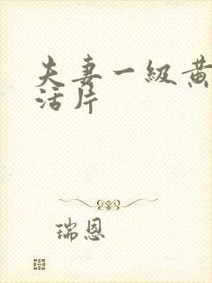 夫妻一级黄色生活片