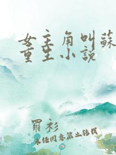 女主角叫苏洛的重生小说