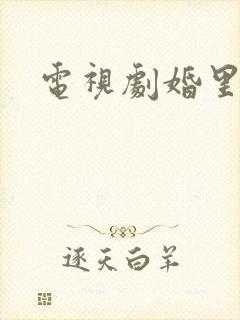 电视剧婚里婚外