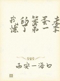 我的笨蛋老婆失忆了第一季