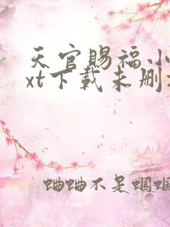 天官赐福小说txt下载未删减