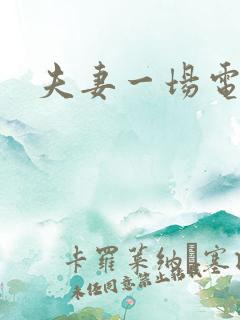 夫妻一场电视剧