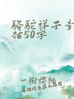 骆驼祥子章节概括50字
