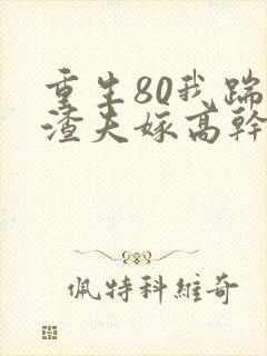 重生80我踹出渣夫嫁高干