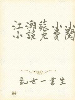 江潮苏小小穿越小说免费阅读全集