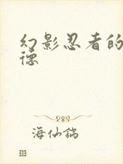 幻影忍者的劳埃德