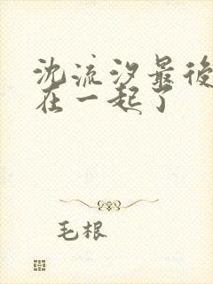 沈流汐最后和谁在一起了