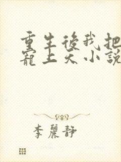 重生后我把丈夫宠上天小说