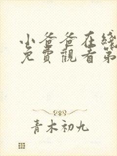 小爸爸在线全集免费观看第43集