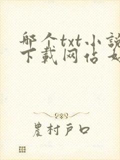 哪个txt小说下载网站 好