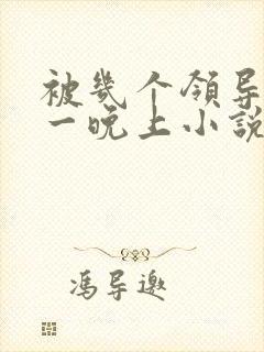 被几个领导玩弄一晚上小说