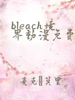 bleach境界动漫免费全集