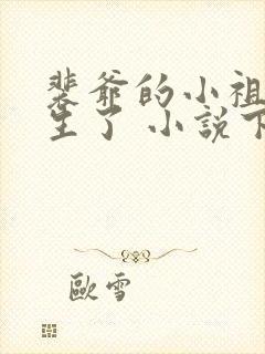 裴爷的小祖宗重生了 小说下载txt