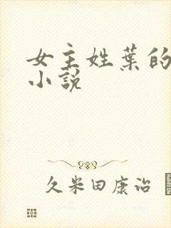 女主姓叶的全部小说