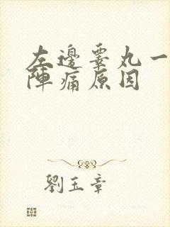 左边睾丸一阵一阵痛原因