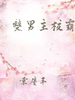 双男主校霸校草