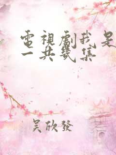 电视剧我是刑警一共几集