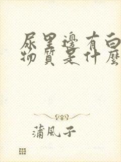 尿里边有白色的物质是什么