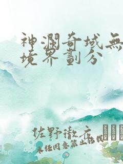 神澜奇域无双珠境界划分