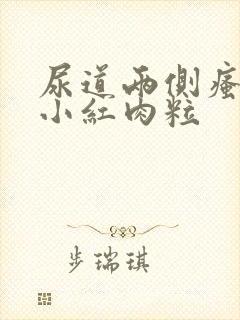 尿道两侧瘙痒有小红肉粒