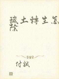 秽土转生怎么解除