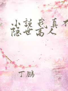 小说 我真不是隐世高人