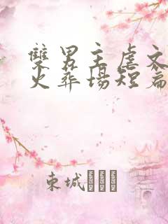 双男主虐文追妻火葬场短篇