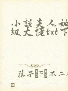 小说夫人她是满级大佬txt下载