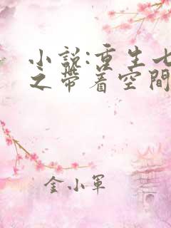 小说:重生七零之带着空间去下乡