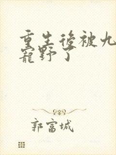 重生后被九王爷宠野了