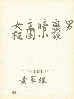 女主暗恋男主的校园小说