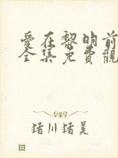 爱在黎明前升起全集免费观看